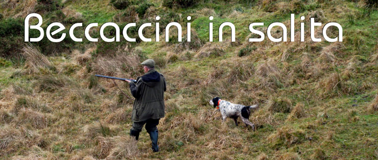 beccaccini in salita